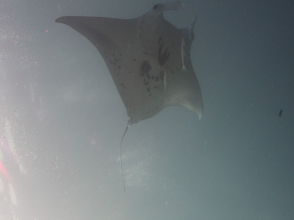 31071435-9020-4a71-a9b6-8afbac1a5a67