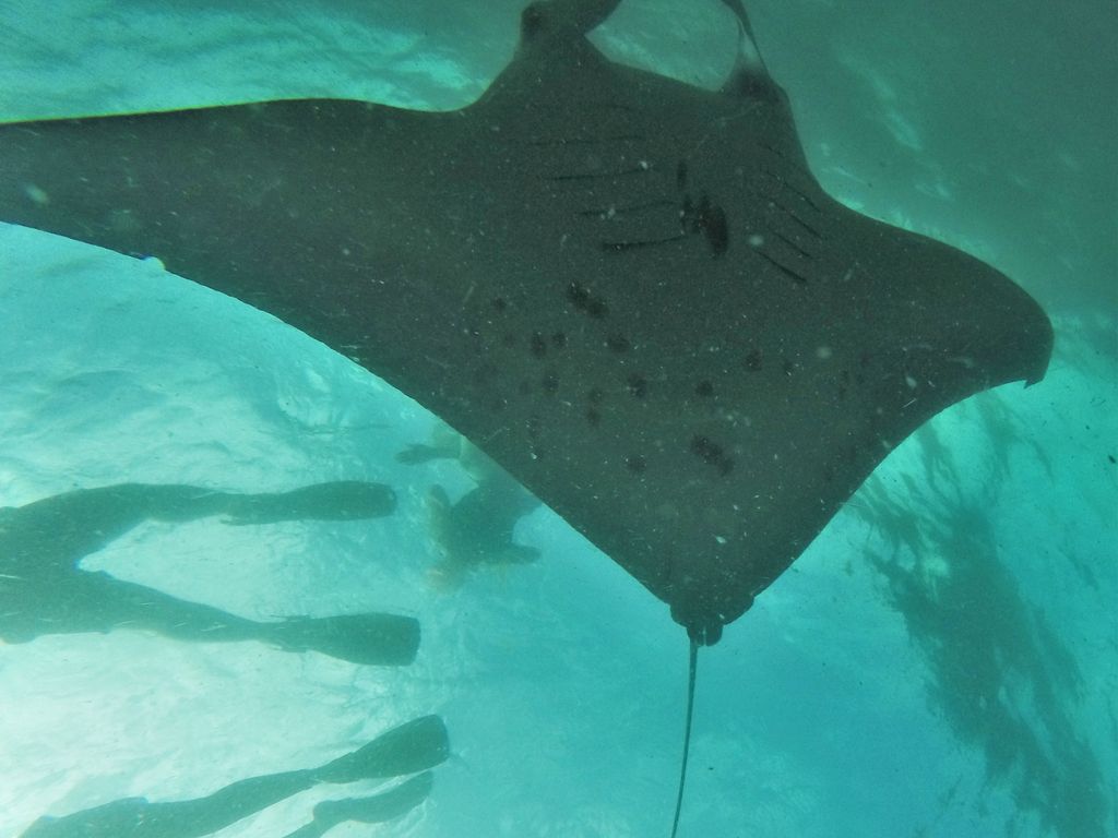 0185b83c-9217-447f-96ec-02bc8021f2b1