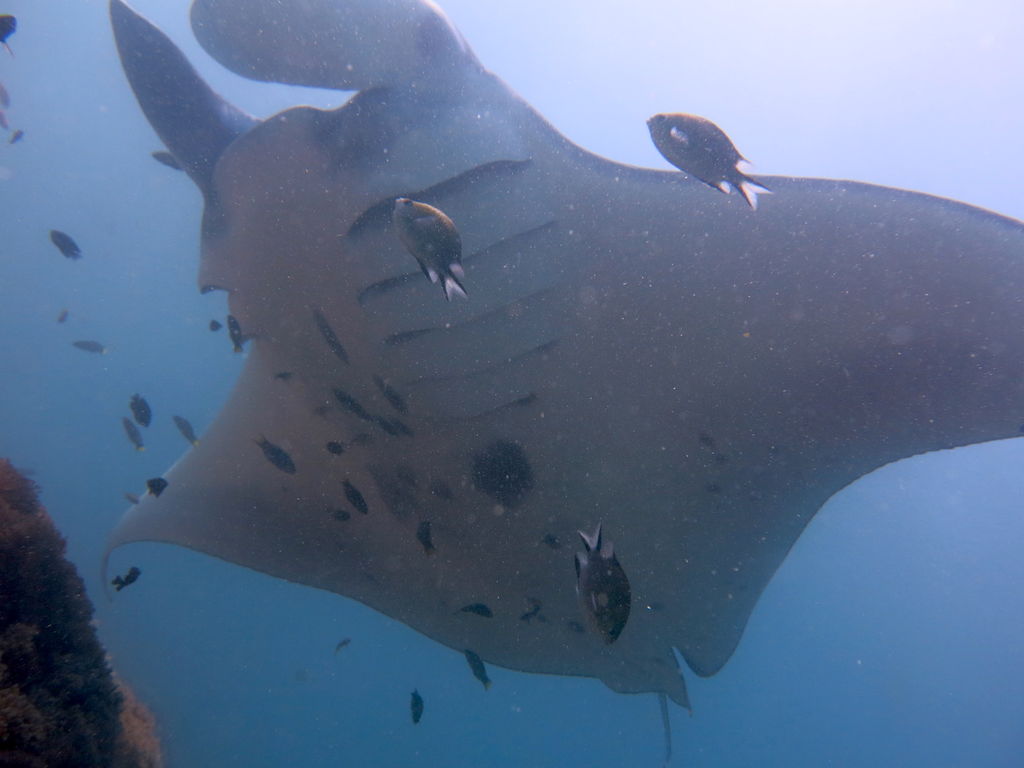 6905577f-4dc5-497e-8673-4430a590cdf4