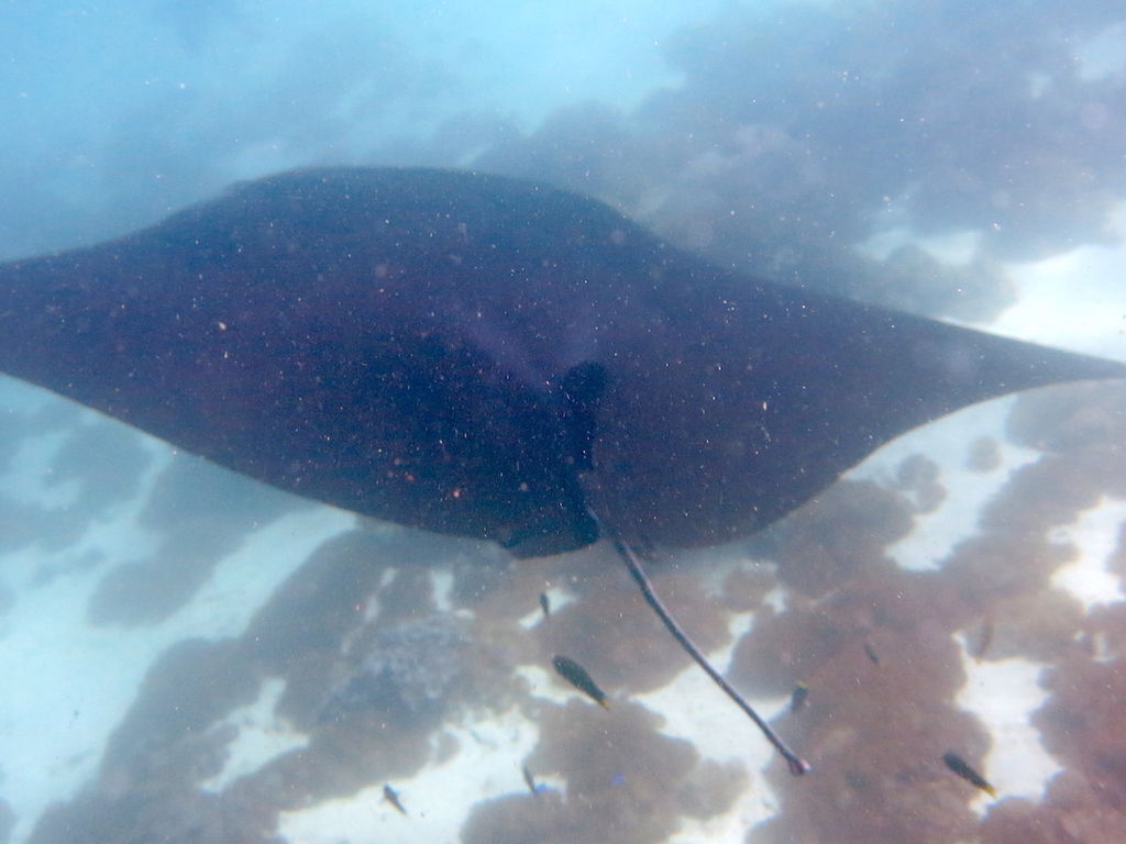 6905577f-4dc5-497e-8673-4430a590cdf4