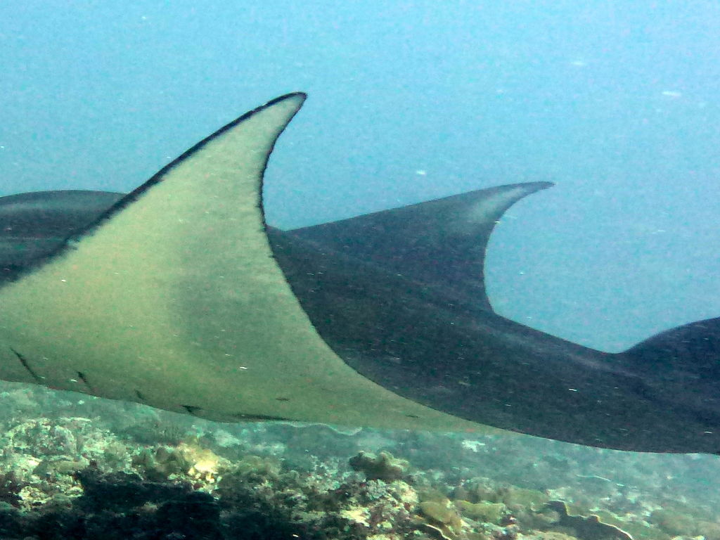 7434e197-bc1b-4f4f-81f5-7c2594032a8e