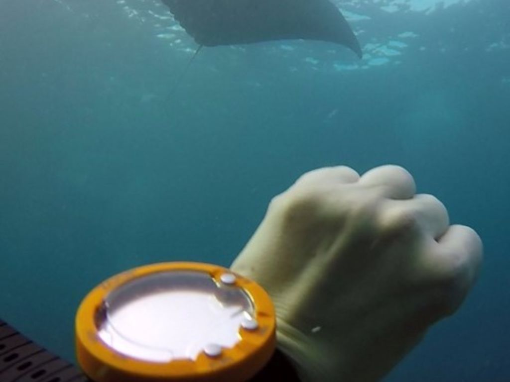 f9f88882-ca81-4b54-be32-e9f2de9a43f7