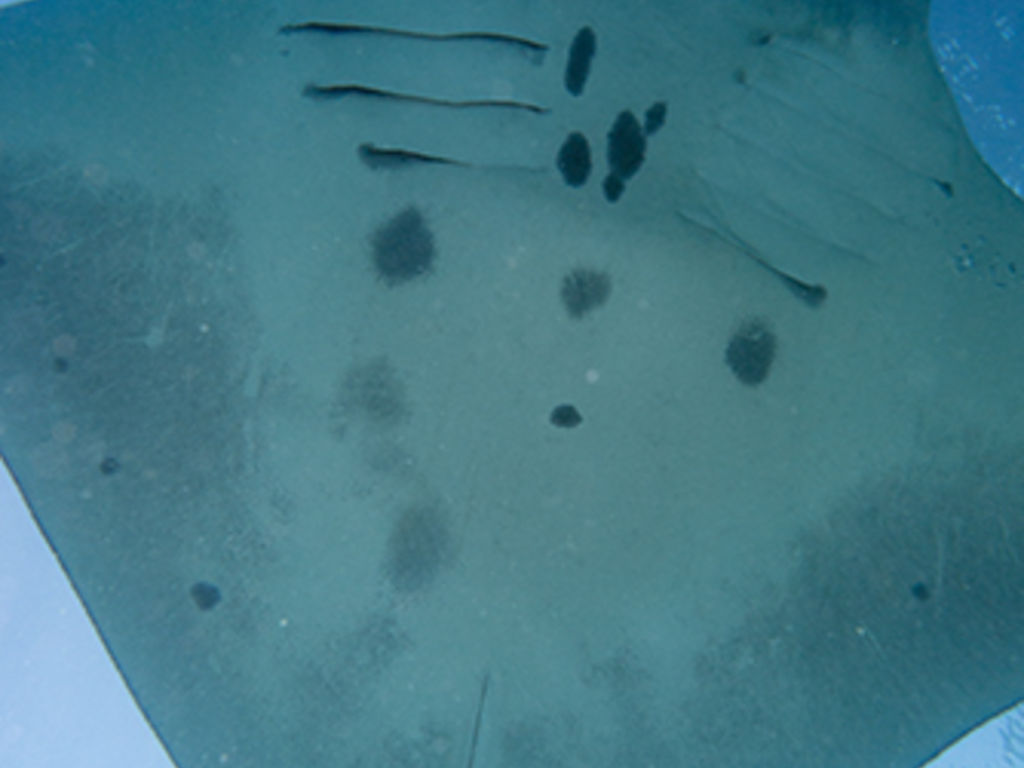 0418bd01-0170-4fe8-b60d-8073acfcde89