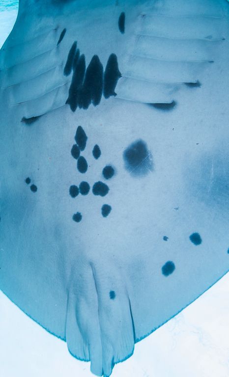 91ab5e97-1989-40b4-8457-81c3f3e50132