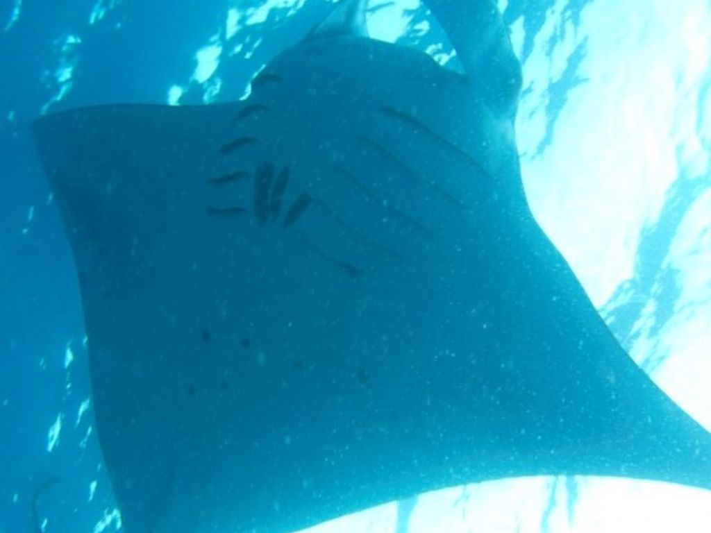 ca2972ed-febd-475e-ab46-4da7c17a3653