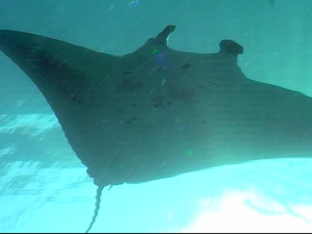 7cf10f00-4122-45b4-a1ec-7cdd108a971e