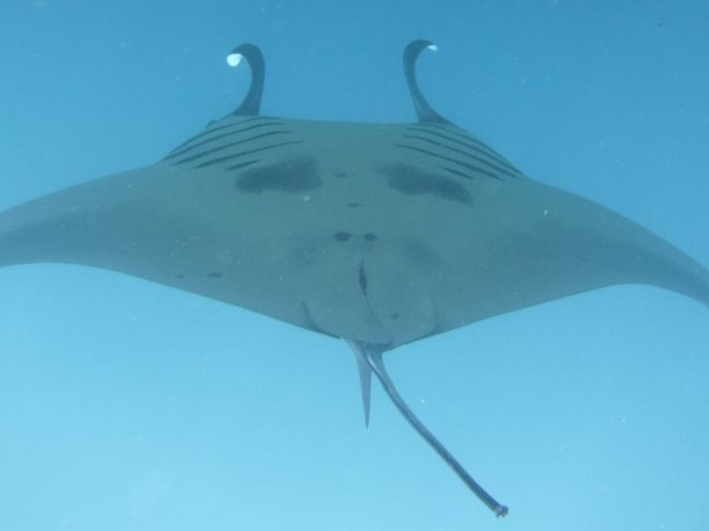 92a1070d-5337-4606-a961-bcca4d623c5b