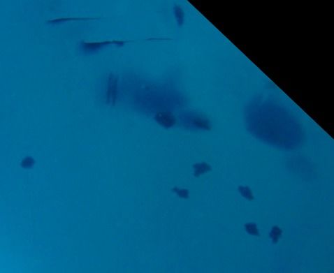 63eb5a72-8192-4081-b8b5-648dabdc5a62