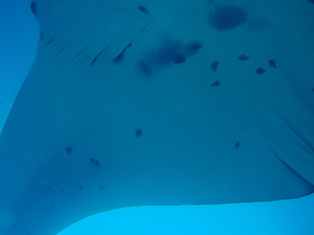 63eb5a72-8192-4081-b8b5-648dabdc5a62