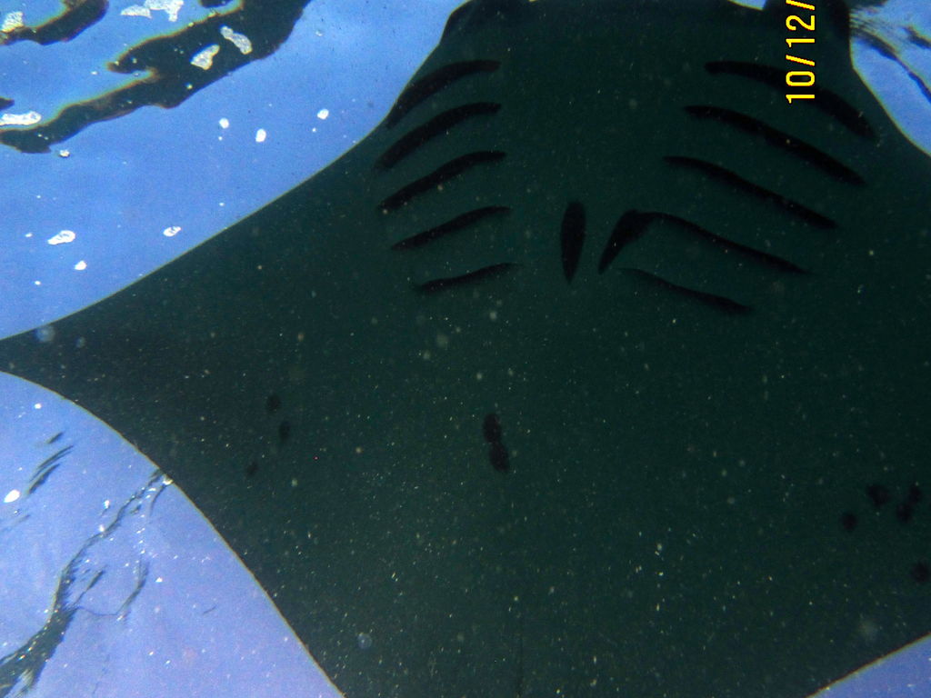 a27049d3-b4bd-421b-ac96-f2991700df1e