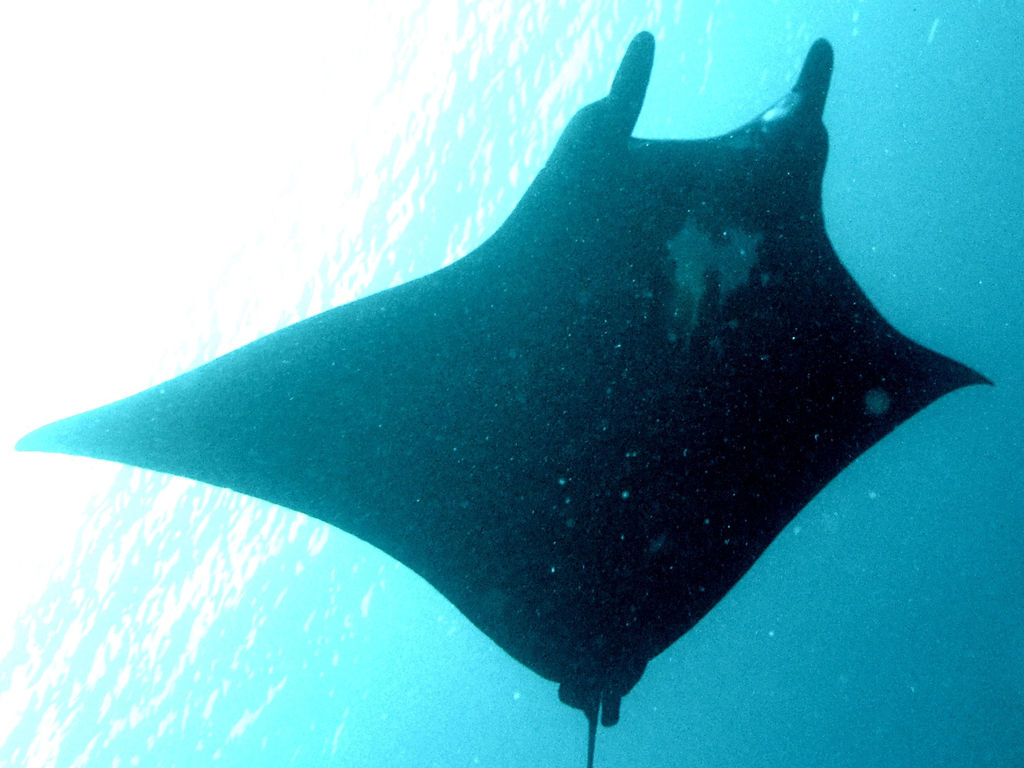 5cbf090b-7622-48ac-bdbd-6444e603cfda