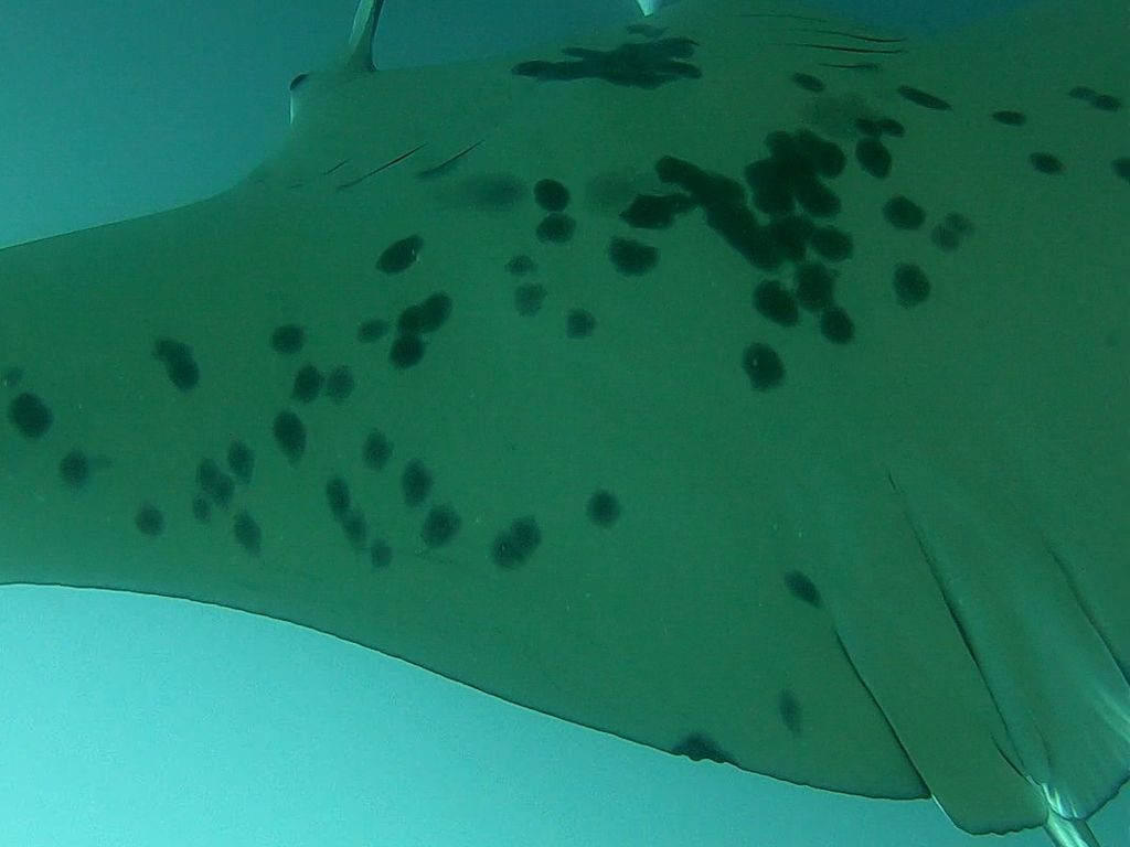 b8d909b5-0d94-48fc-b035-bd667bb92653