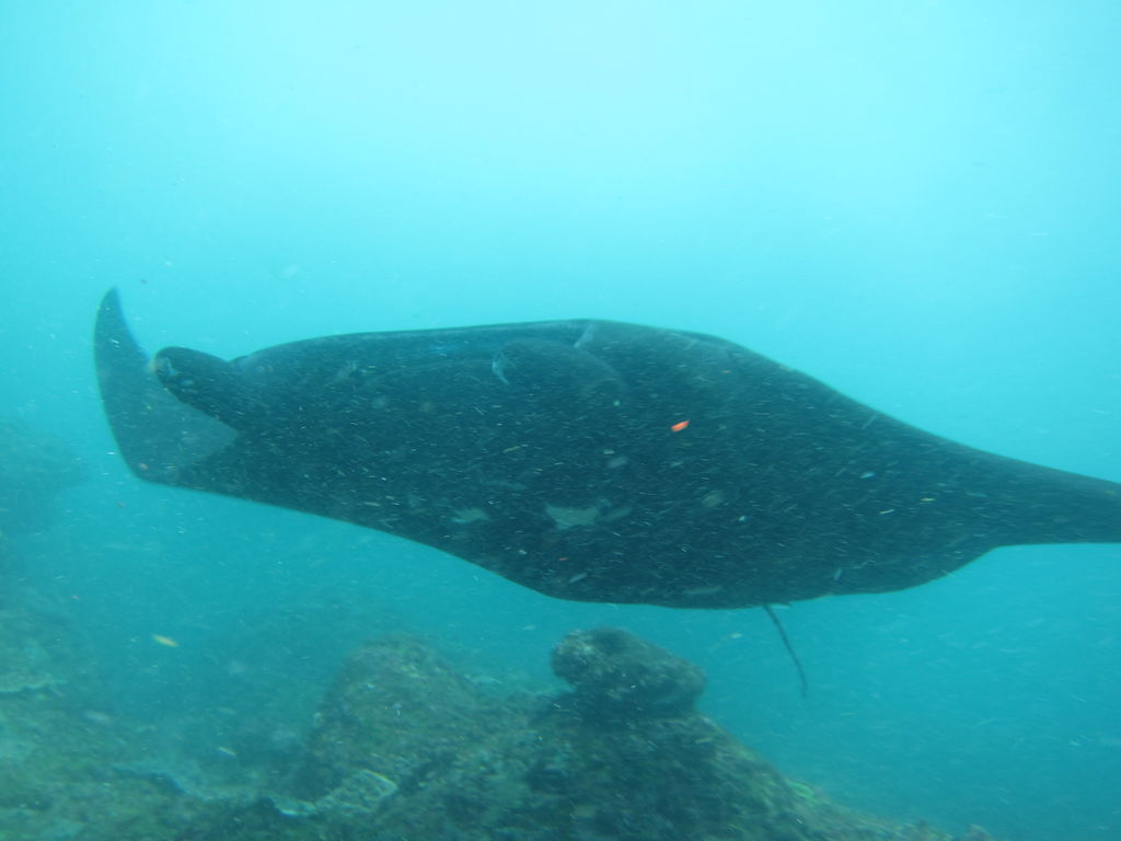 f8c02cef-88ba-48cf-901a-f515a36e3ef2