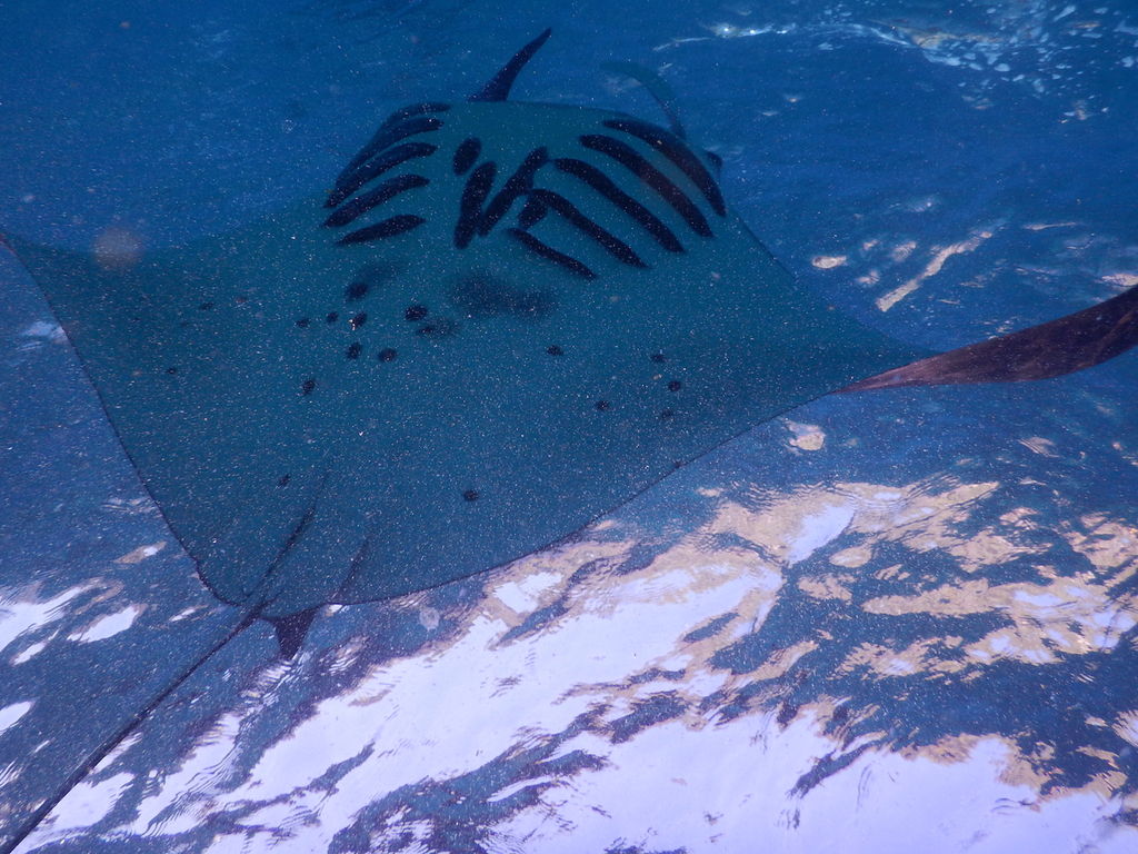 73a09a0a-bdc8-40c1-85fd-c43ce5bc2f49