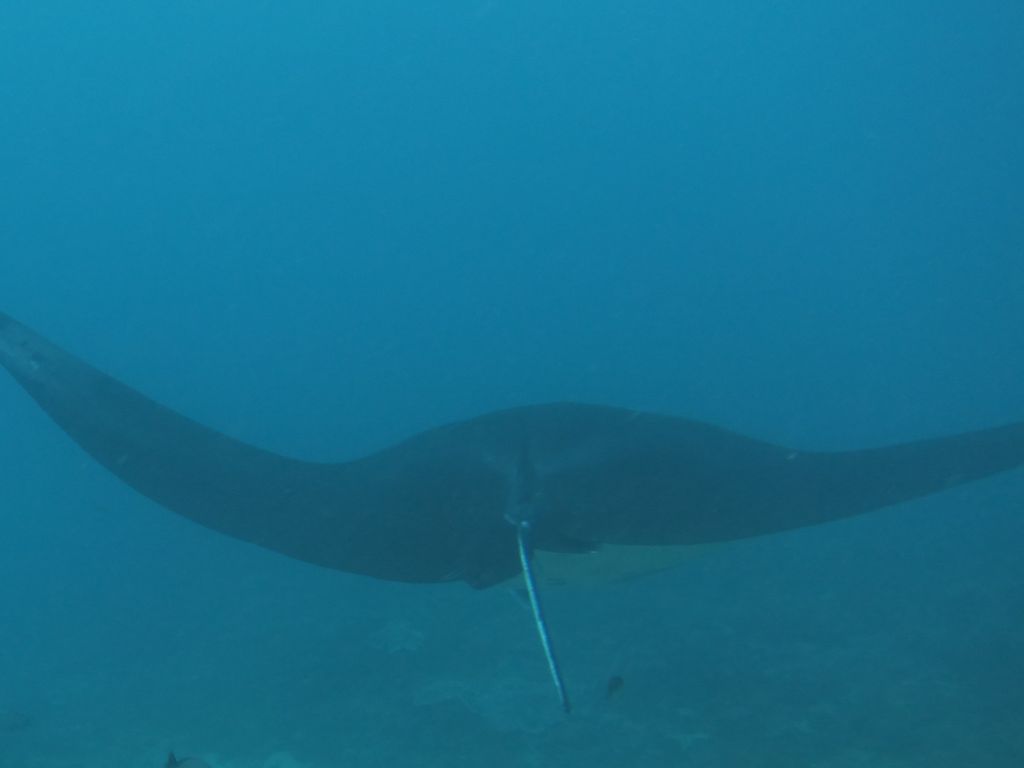 ac6a9db6-243d-4b59-a60d-3abe3f43a363