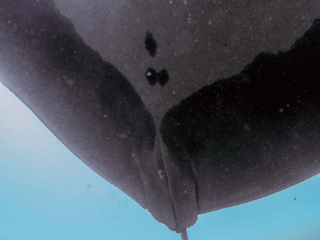 0ab477f8-fa01-4ef7-97c0-643a859104a5