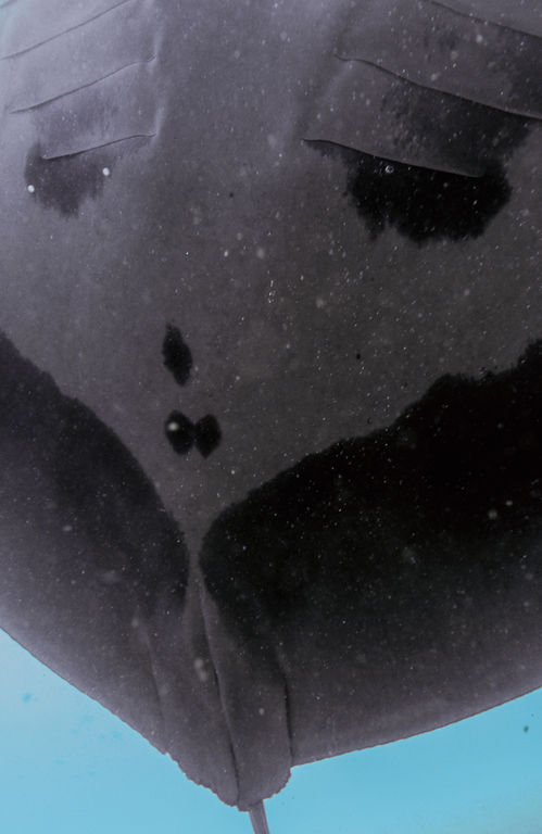 0ab477f8-fa01-4ef7-97c0-643a859104a5