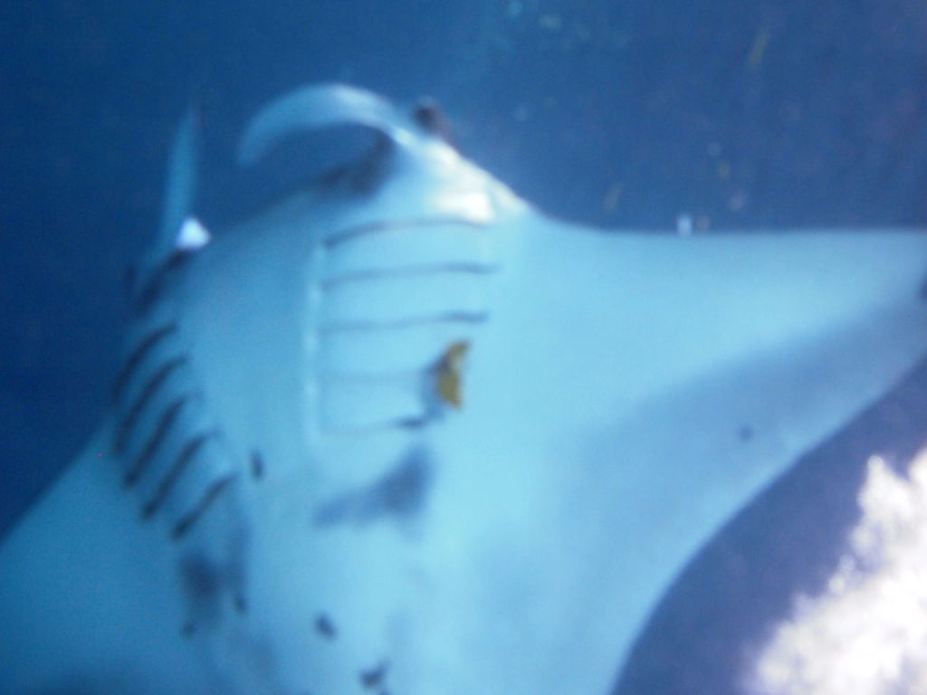 afd5dc24-bc56-4d9c-8c63-bf2653ffbda7