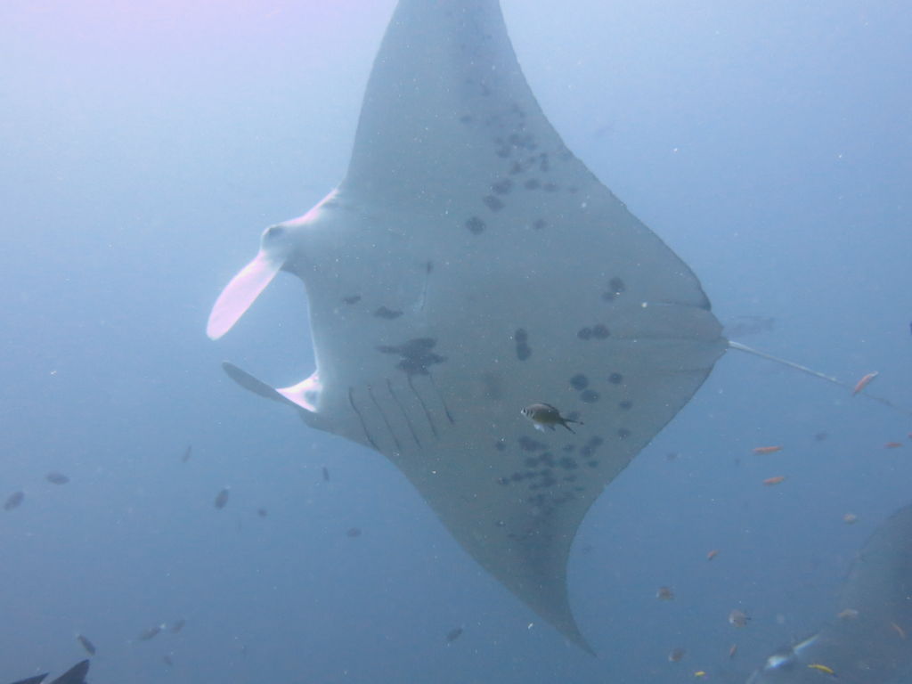 b2472882-4259-4749-83d3-3b54b647bd3f