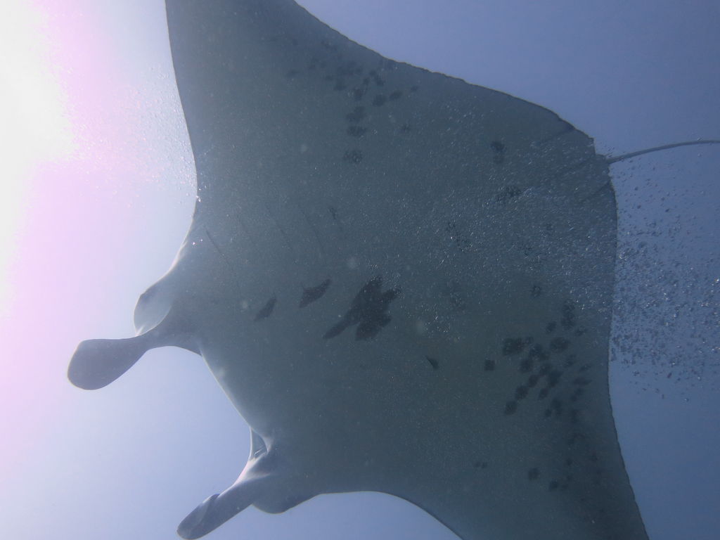 b2472882-4259-4749-83d3-3b54b647bd3f