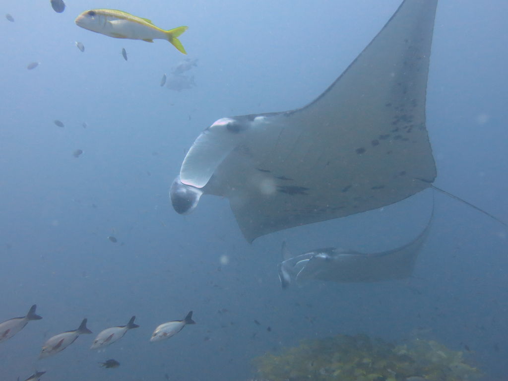 b2472882-4259-4749-83d3-3b54b647bd3f