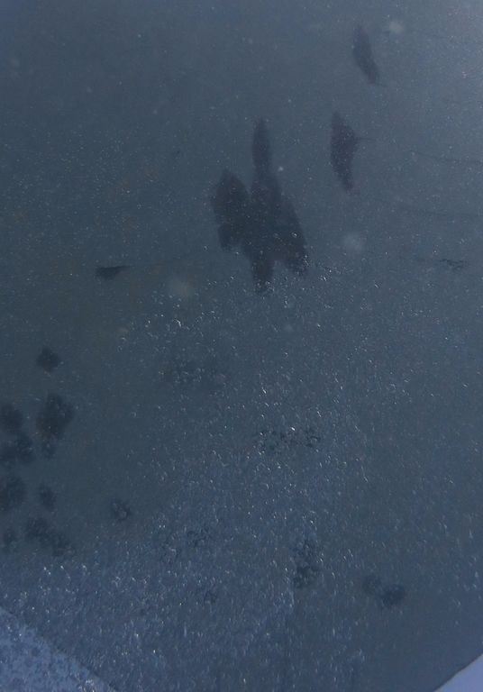 b2472882-4259-4749-83d3-3b54b647bd3f