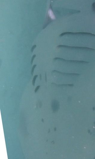 e5240013-76ef-48dc-a0c8-da0a53d653b3