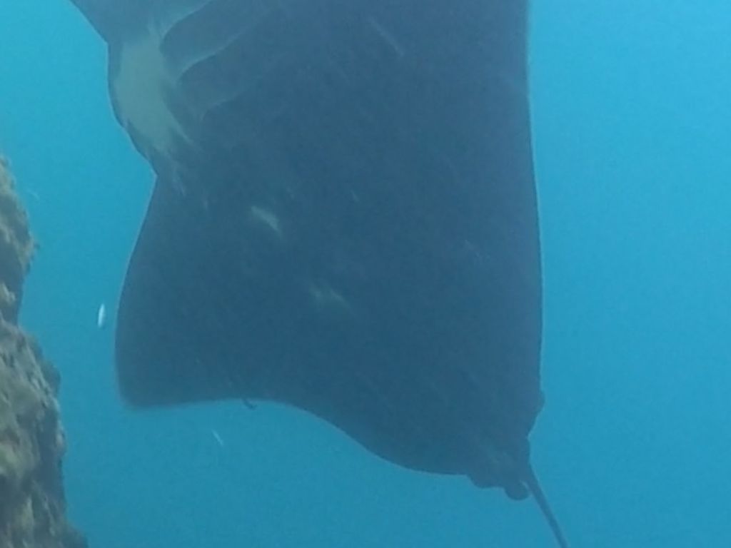 d76b7a87-038f-48d6-8388-c8d75366ea78