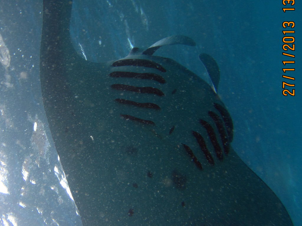 a61b5982-e37a-4a0e-a18b-40737045ea45