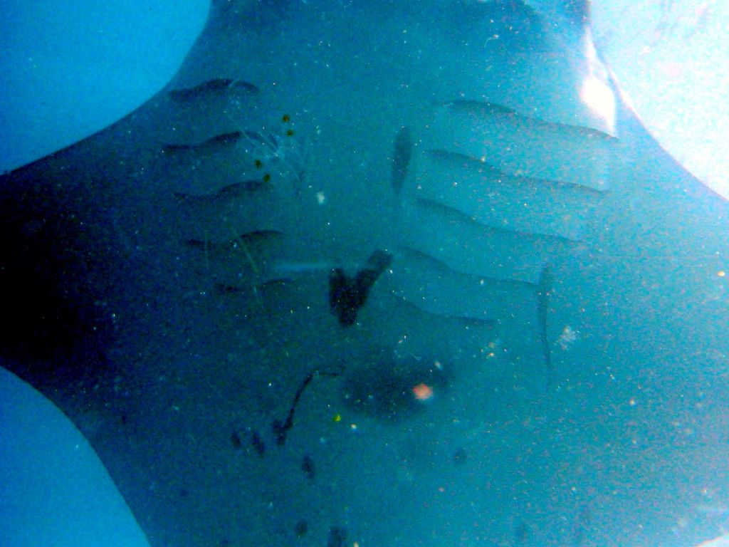 4b456611-3e03-46d5-95d5-271d7c497447