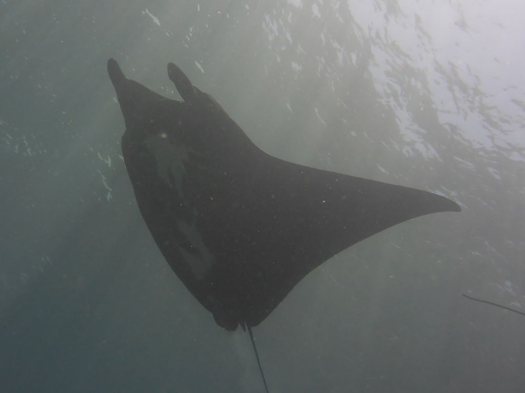 96534324-4279-4c19-bc4c-edc5326342a1