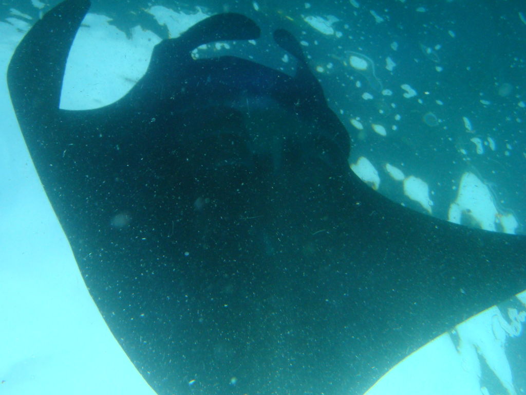 d76b7a87-038f-48d6-8388-c8d75366ea78