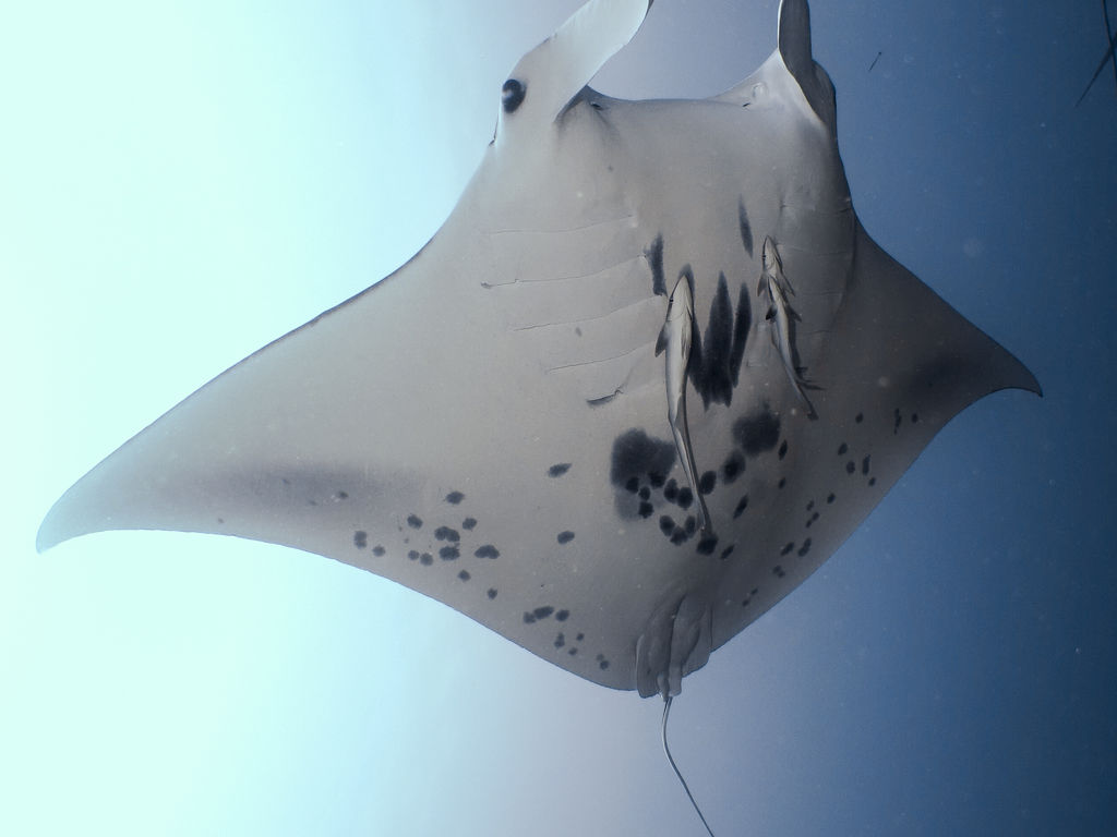 31071435-9020-4a71-a9b6-8afbac1a5a67