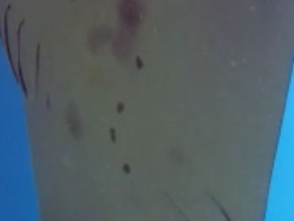 63409d76-e904-4234-ba61-9ad1d27cf053