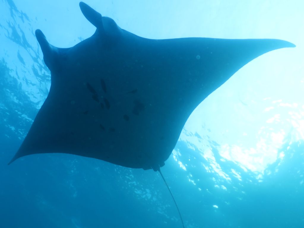 5adbf9cb-0b52-4905-83a6-1c2e6fcad525