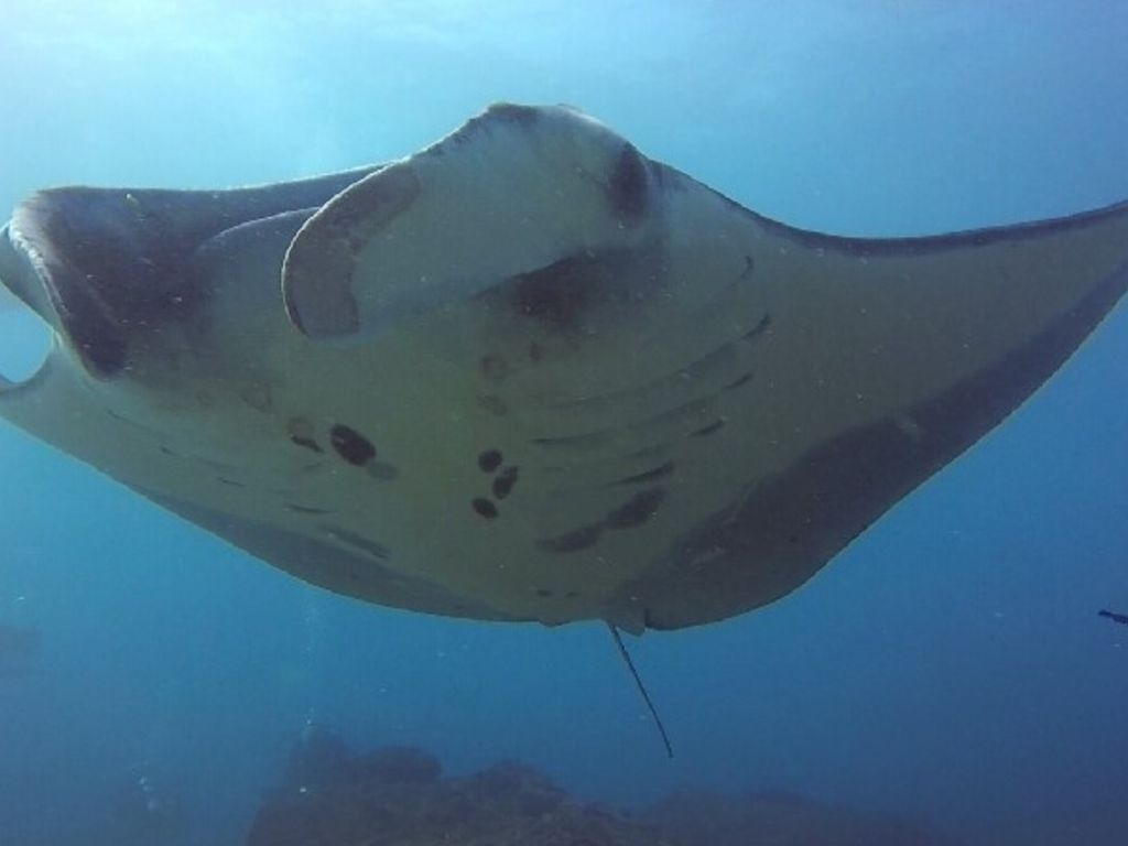 003b54ef-e7e9-4955-a666-e8eab0361416