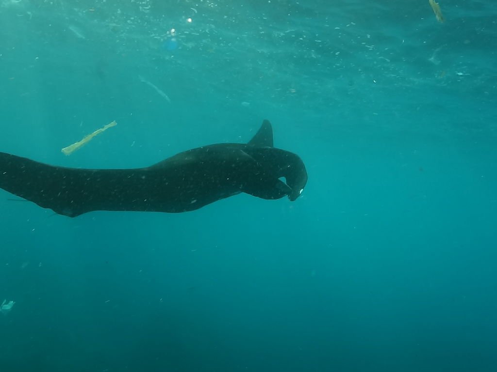 f8c02cef-88ba-48cf-901a-f515a36e3ef2