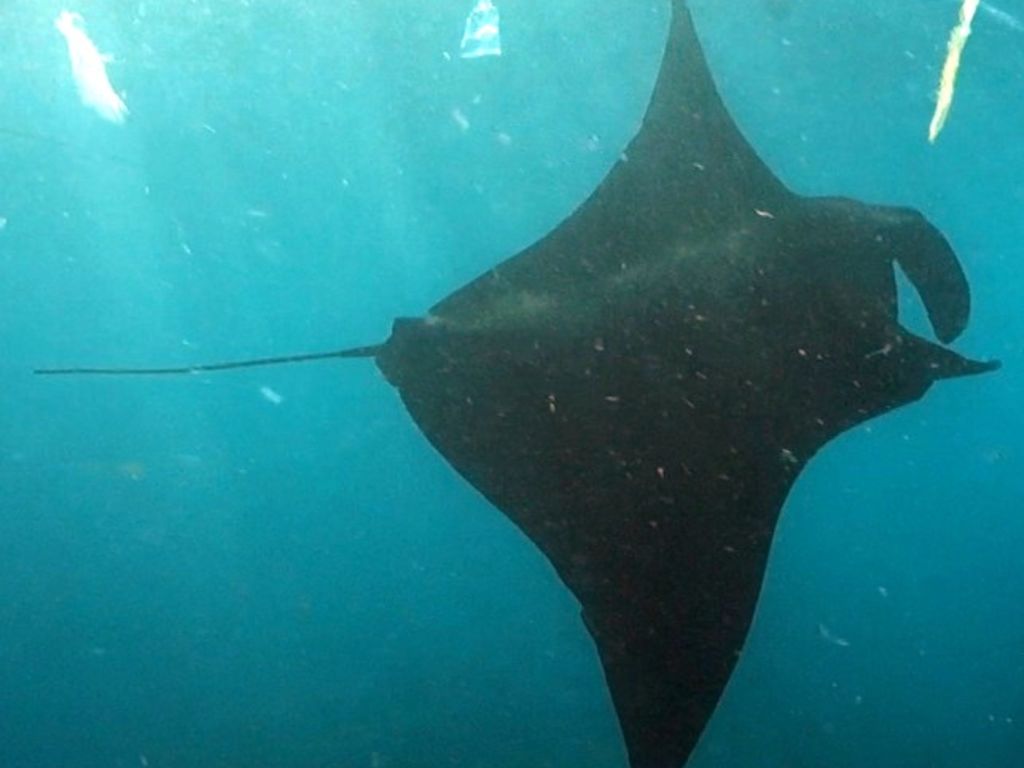 f8c02cef-88ba-48cf-901a-f515a36e3ef2