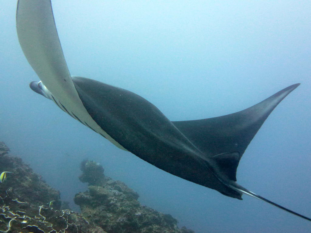 15c42f7b-7969-45ca-896c-1d5ad5596c04