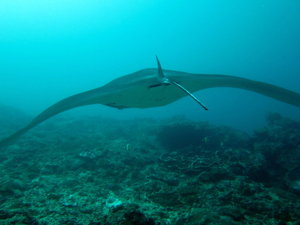 15c42f7b-7969-45ca-896c-1d5ad5596c04