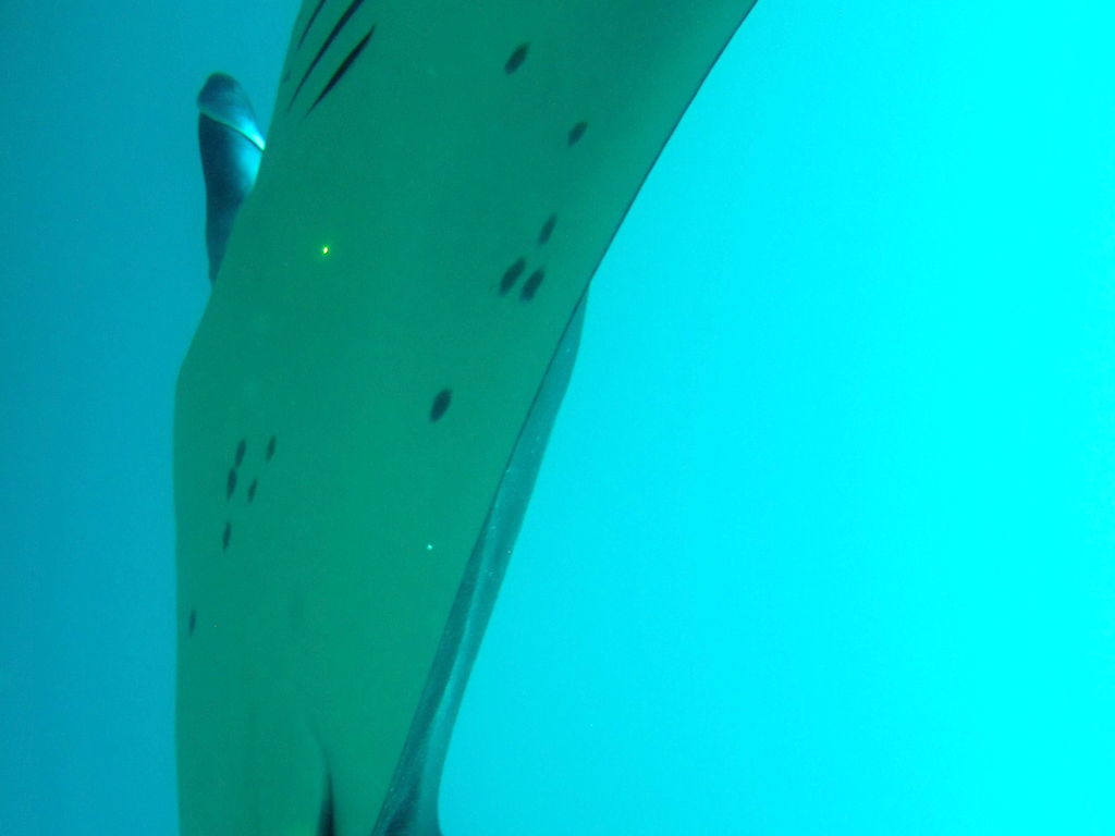 15c42f7b-7969-45ca-896c-1d5ad5596c04