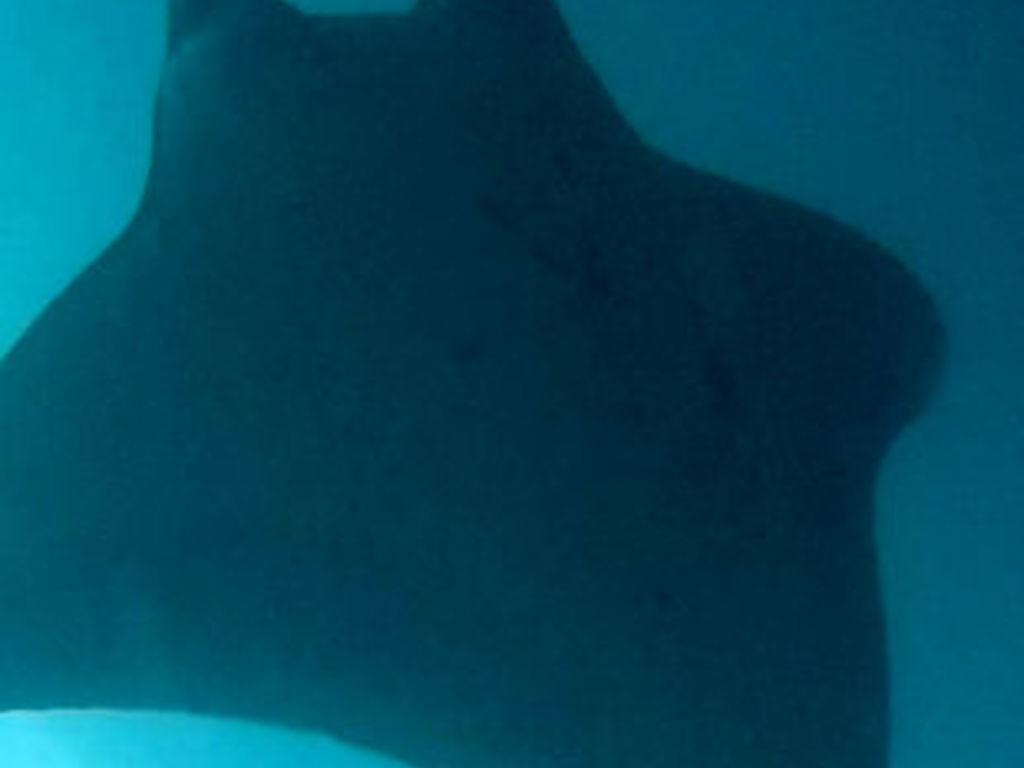 7434e197-bc1b-4f4f-81f5-7c2594032a8e