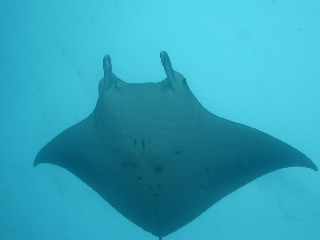 e5240013-76ef-48dc-a0c8-da0a53d653b3