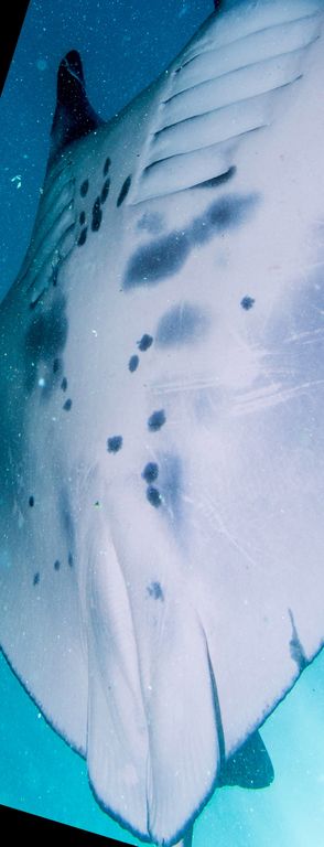 6d3a3e20-e26b-4d6f-a464-753588c3d729