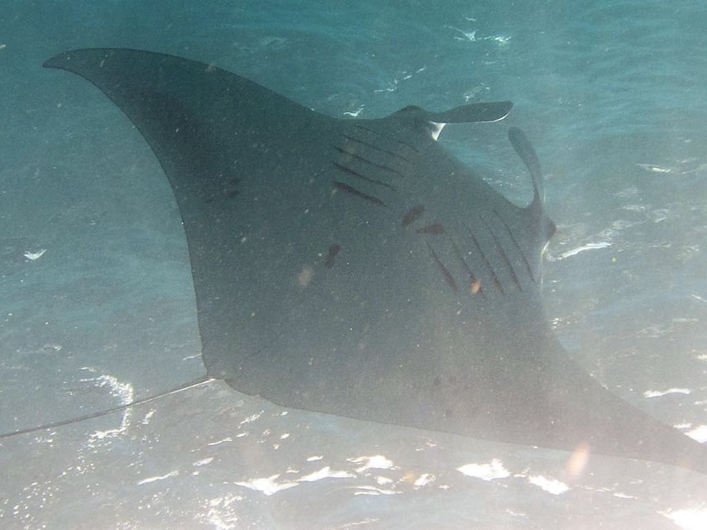 a27049d3-b4bd-421b-ac96-f2991700df1e