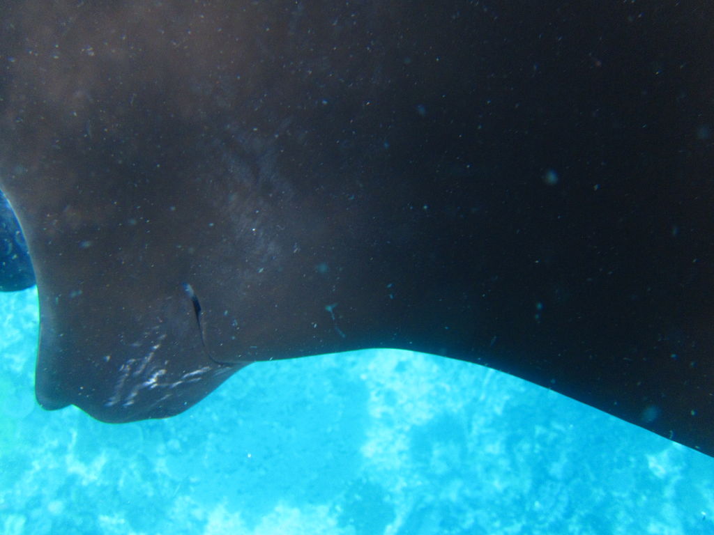 eca5b21f-8e4b-4602-b24c-9c4bb407e847