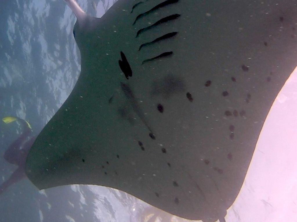 bcca5065-9e4c-4af5-9e7a-75afe255df44