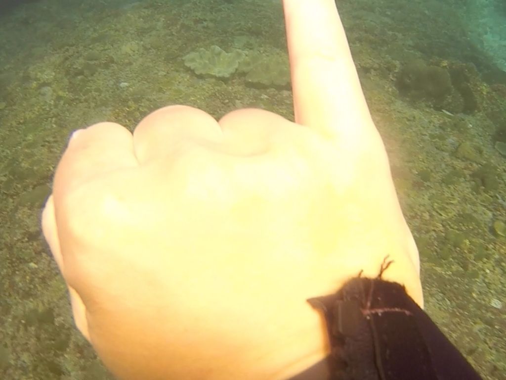 bcca5065-9e4c-4af5-9e7a-75afe255df44