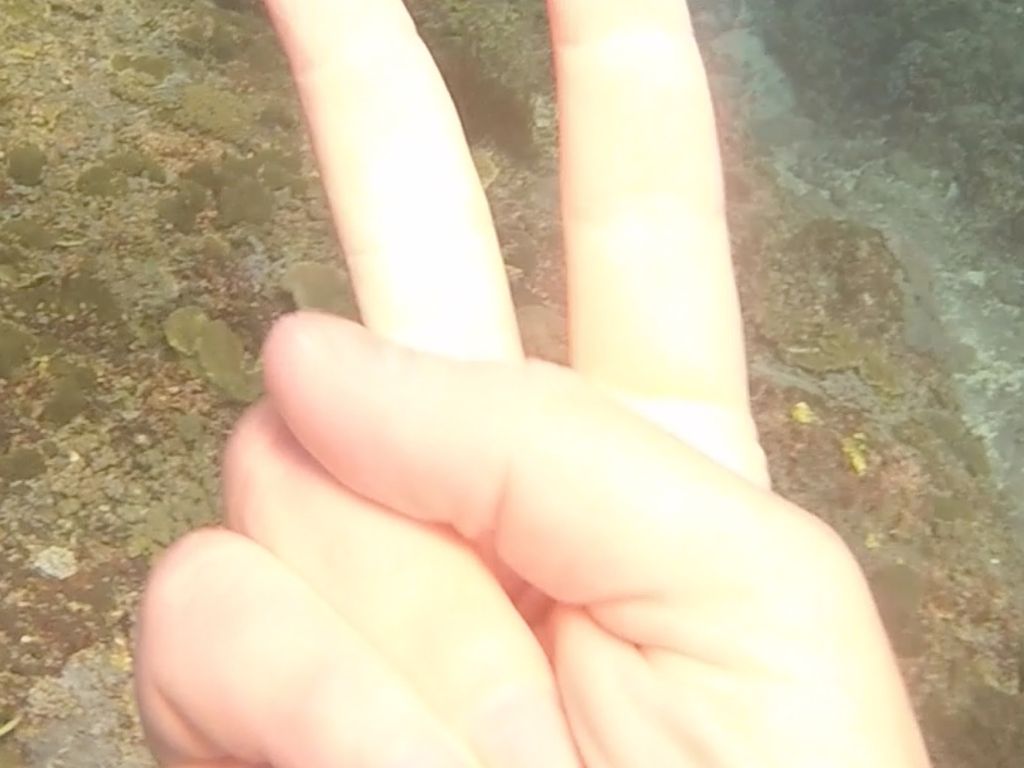 bcca5065-9e4c-4af5-9e7a-75afe255df44