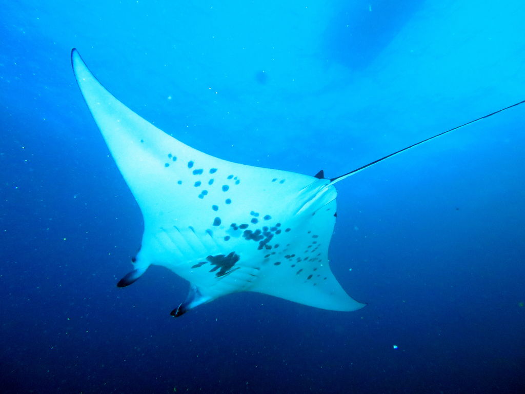 b8d909b5-0d94-48fc-b035-bd667bb92653